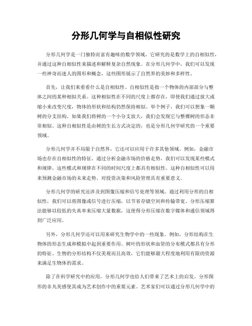分形几何学与自相似性研究