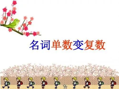名词单复数名词所有格物主代词用法及练习题