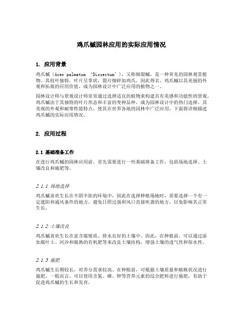 鸡爪槭园林应用