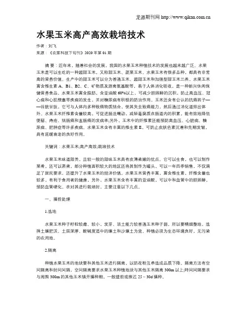 水果玉米高产高效栽培技术