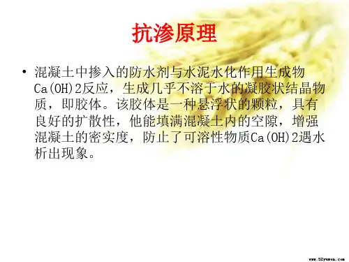 渗透试验