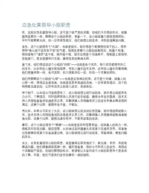 应急处置领导小组职责