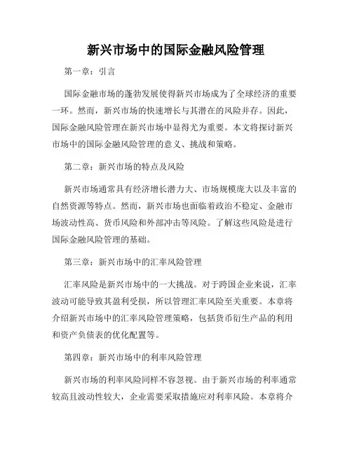 新兴市场中的国际金融风险管理