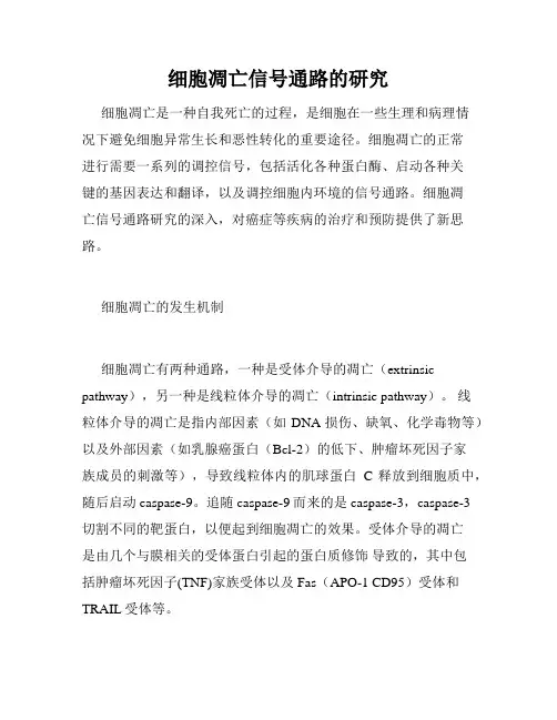 细胞凋亡信号通路的研究