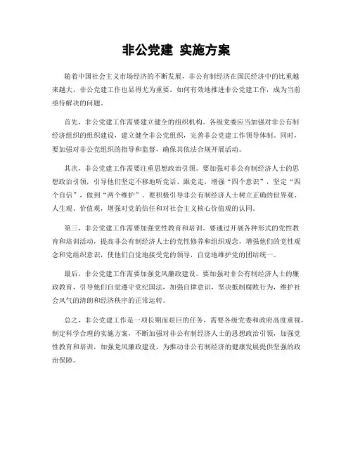 非公党建 实施方案
