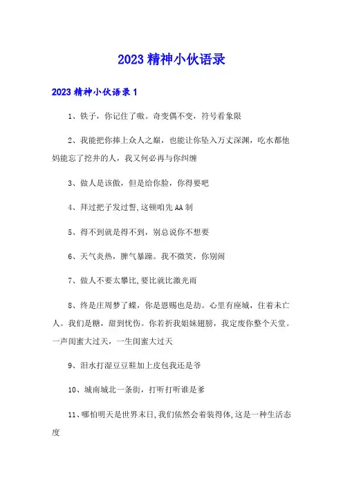 2023精神小伙语录