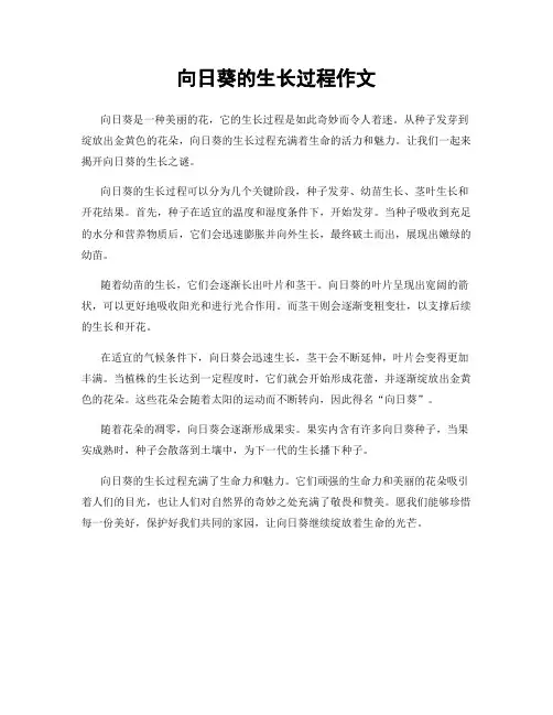 向日葵的生长过程作文
