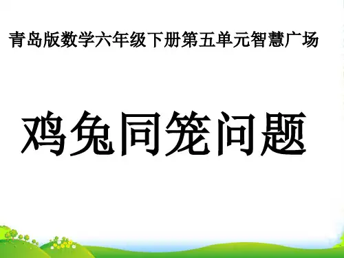 青岛版六年级下册数学课件鸡兔同笼问题 (共17张PPT)