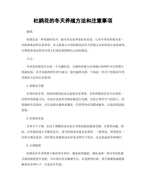 杜鹃花的冬天养殖方法和注意事项