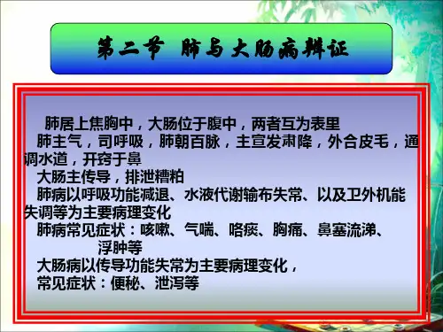 肺与大肠病辨证