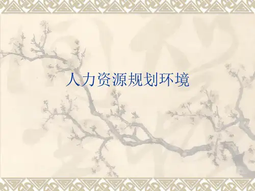 人力资源管理 内部环境分析