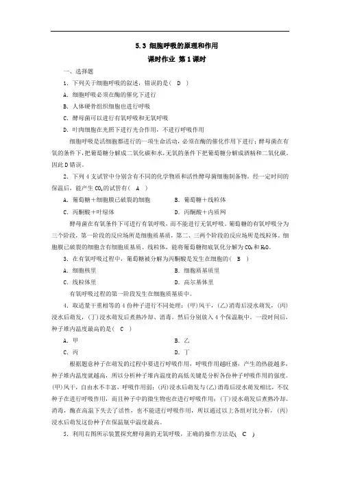 高中生物人教版(2019)必修一课时作业：5.3 细胞呼吸的原理和作用 第1课时