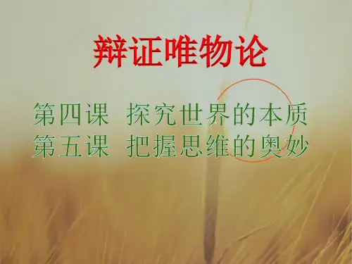 最新-高三政治课件2021届高考政治第二轮知识点复习课件19  精品