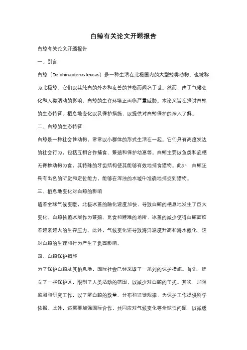 白鲸有关论文开题报告