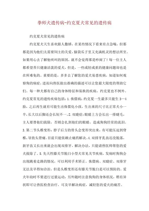 拳师犬遗传病-约克夏犬常见的遗传病