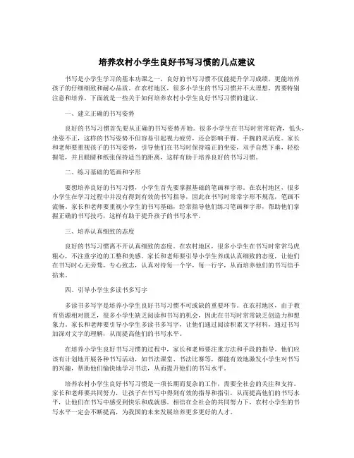 培养农村小学生良好书写习惯的几点建议