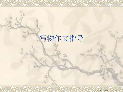 写物作文指导PPT课件
