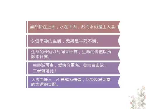 《我愿意是急流》教学课件30张