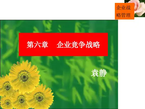 企业战略管理   第六章 竞争战略