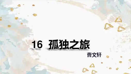 17孤独之旅 课件(共21张PPT)(2024年)