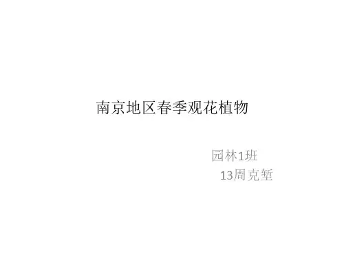 南京地区春季观花植物