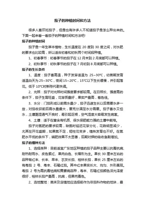 茄子的种植时间和方法