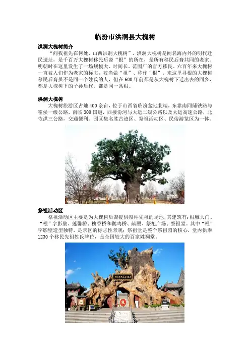 1_临汾市洪洞县大槐树