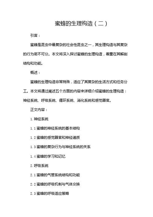 蜜蜂的生理构造