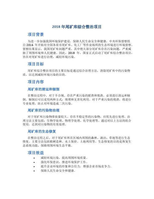 2018年尾矿库综合整治项目