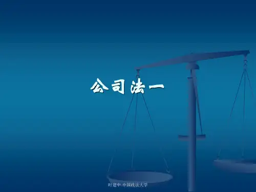 2006公司法1