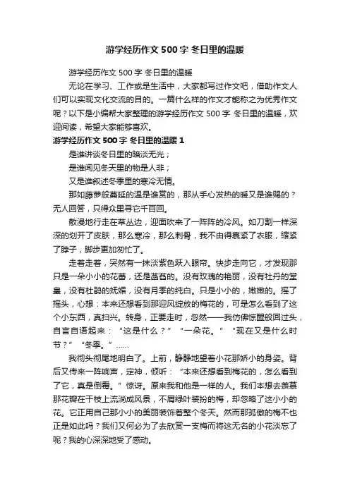 游学经历作文500字冬日里的温暖