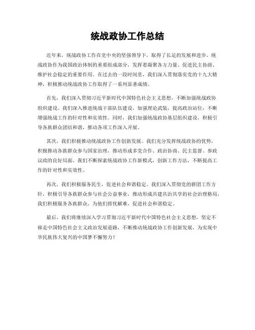 统战政协工作总结