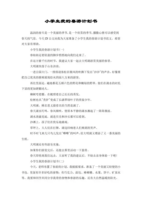 小学生我的春游计划书