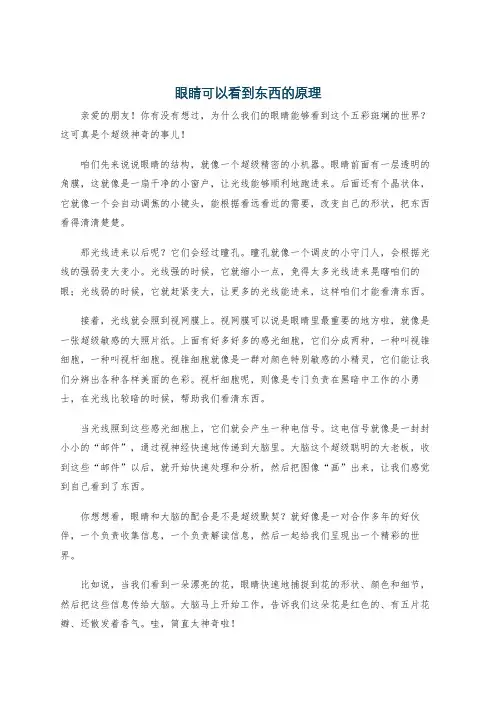 眼睛可以看到东西的原理
