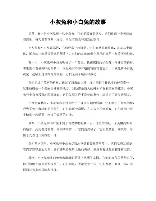 小灰兔和小白兔的故事