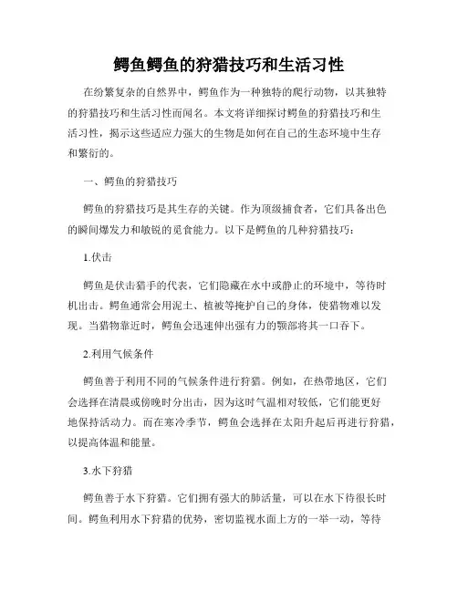 鳄鱼鳄鱼的狩猎技巧和生活习性