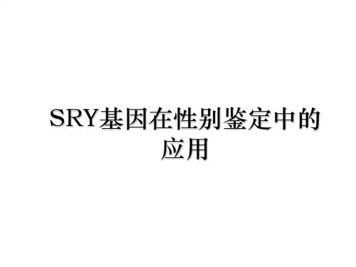 SRY基因在性别鉴定中的应用