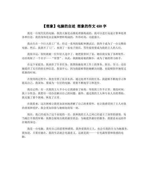 【想象】电脑的自述 想象的作文450字