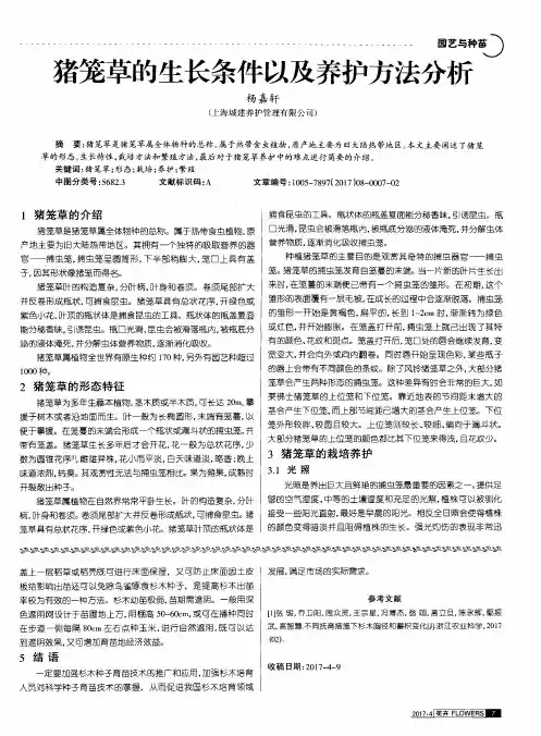 猪笼草的生长条件以及养护方法分析