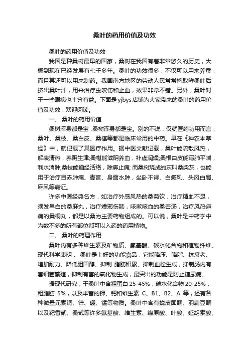 桑叶的药用价值及功效
