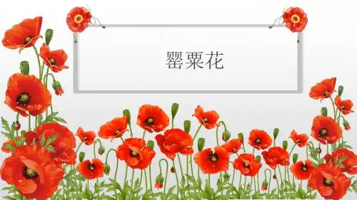 毒品的种类