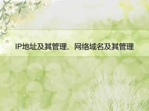IP地址及其管理