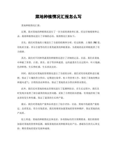 菜地种植情况汇报怎么写