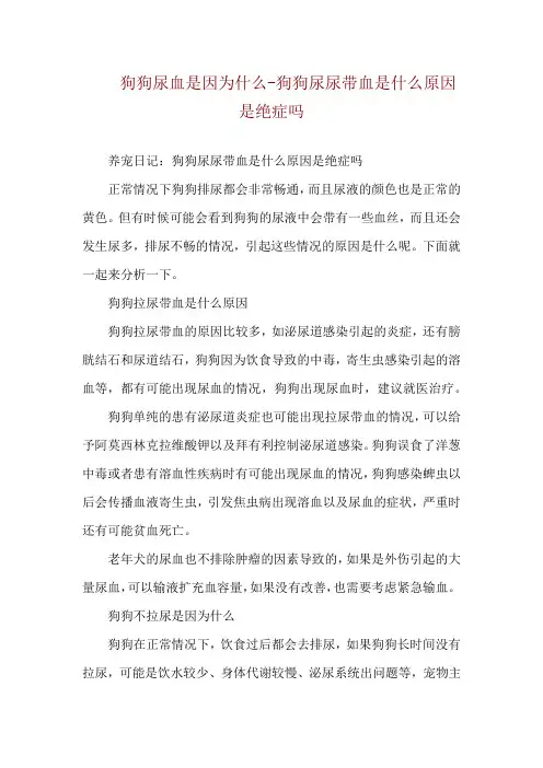 狗狗尿血是因为什么-狗狗尿尿带血是什么原因是绝症吗