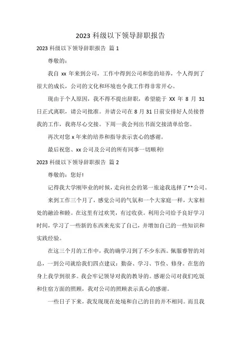 2023科级以下领导辞职报告