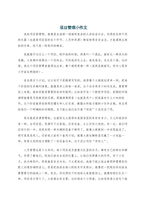 项目管理小作文