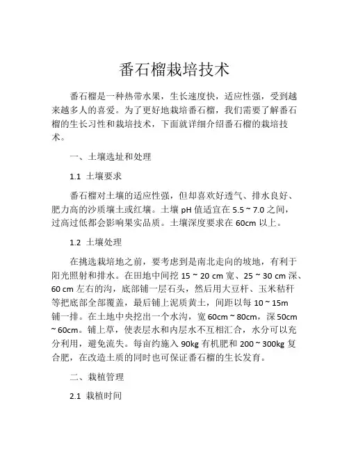 番石榴栽培技术