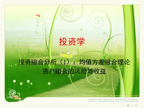 投资学4.资产组合的收益与风险ppt