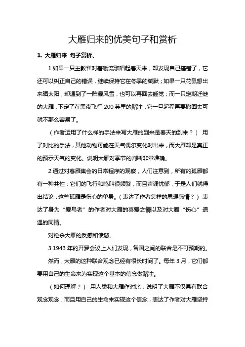 大雁归来的优美句子和赏析