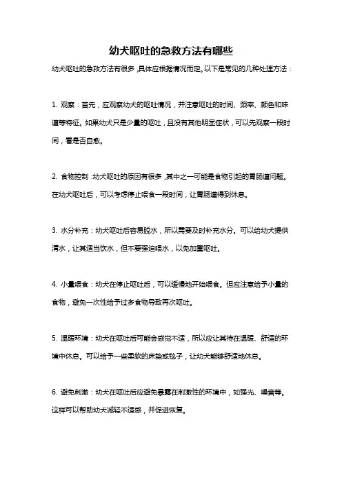 幼犬呕吐的急救方法有哪些